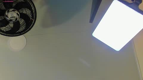 Maleja online show from 01/13/26, 08:47