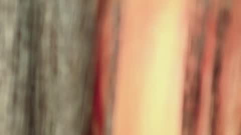 Isa online show from 01/11/26, 04:50