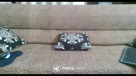 JP online show from 02/21/25, 06:26