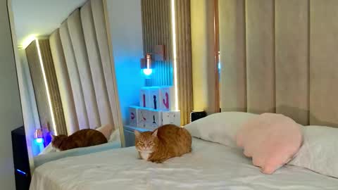 Nyxy online show from 11/11/25, 09:09