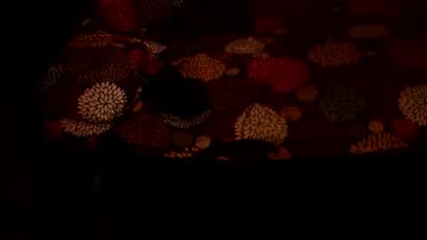 MADAM  MISTRESS ASIANA online show from 12/21/25, 04:25