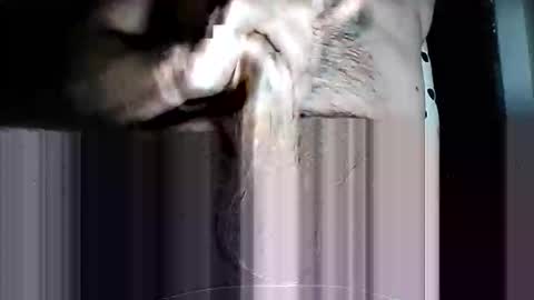 Pat online show from 03/11/26, 10:10