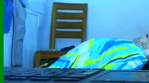 Snapshot of ian_zaenzz chatting on 01/26/25, 03:27 Samuel igsamuelnoguera 1333 online show from 01/26/25, 03:27