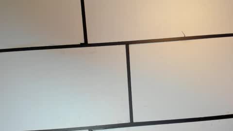 Ian Lark online show from 05/16/26, 11:36