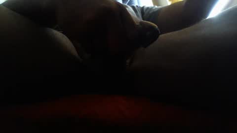 Snapshot of icecreamman6986 chatting on 01/01/25, 08:15 icecreamman6986 online show from 01/01/25, 08:15