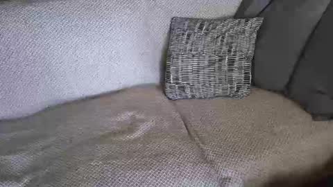 SnowTiger online show from 02/19/26, 11:17