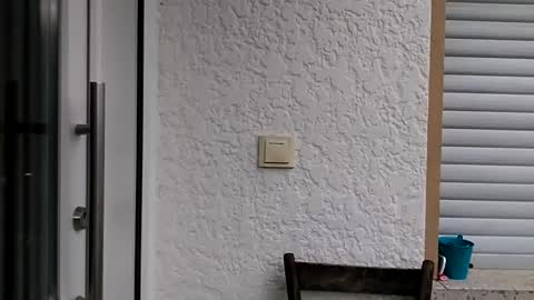 Snapshot of icheinfachich13 chatting on 10/21/25, 08:26 icheinfachich13 online show from 10/21/25, 08:26