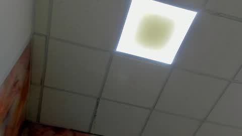 Idiris online show from 03/08/25, 05:54