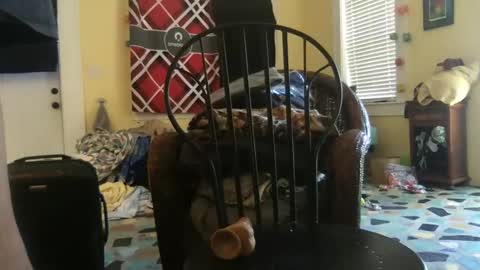 Snapshot of idksohorny chatting on 12/20/24, 04:36 idksohorny online show from 12/20/24, 04:36