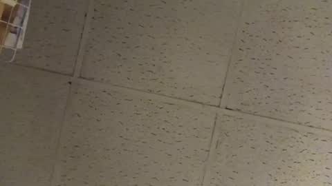 igcognito647033 online show from 02/20/26, 07:54