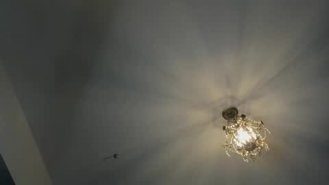 Igor scott online show from 02/16/25, 04:42