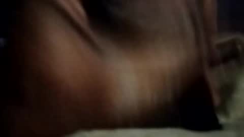 ihktqjtwzczh online show from 02/27/26, 12:05