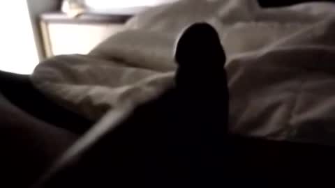 ihktqjtwzczh online show from 04/07/26, 09:43