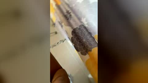 ikaikagora00 online show from 03/05/26, 04:36