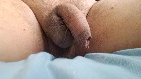 ikbenzo online show from 12/08/24, 10:41