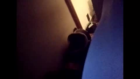 Freakyroofer online show from 12/23/25, 09:40