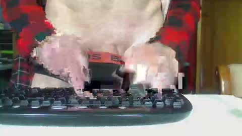 Snapshot of imaussiechris chatting on 10/21/25, 12:33 Aussie Guy online show from 10/21/25, 12:33