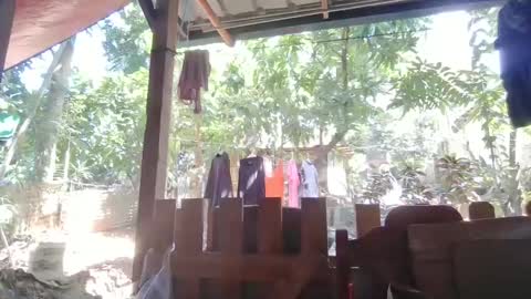 Immaculate02 online show from 02/01/25, 04:46