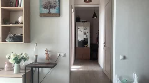 imnotall online show from 11/24/25, 08:47