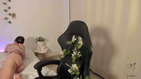 Aurora online show from 11/17/25, 01:11