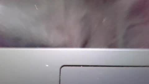 imstillstrokin online show from 10/22/25, 07:35