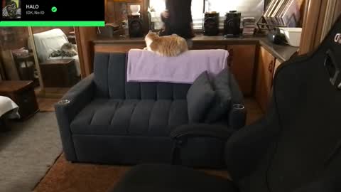 Carter online show from 02/05/26, 04:39