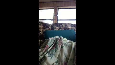 indegeniouscreature online show from 06/02/26, 12:07