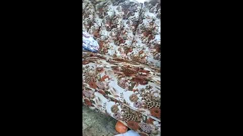 indegeniouscreature online show from 06/05/26, 12:33