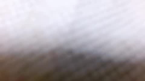 tracy online show from 12/28/24, 08:58