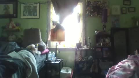 Snapshot of indigo_scorpio chatting on 02/05/25, 06:48 indigo_scorpio online show from 02/05/25, 06:48