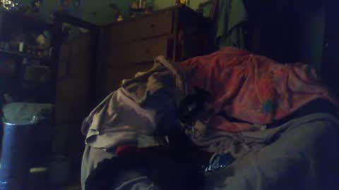 Snapshot of indigo_scorpio chatting on 02/24/25, 12:52 indigo_scorpio online show from 02/24/25, 12:52