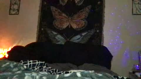 Snapshot of indigobay chatting on 01/10/25, 12:17 Indigo Bay online show from 01/10/25, 12:17