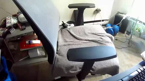 BroLOU online show from 04/29/26, 05:30