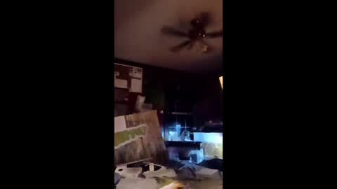 Snapshot of inmecum chatting on 03/20/26, 12:59 inmecum online show from 03/20/26, 12:59