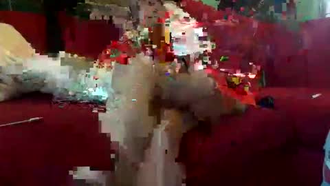 INMIRREY online show from 05/08/26, 08:41