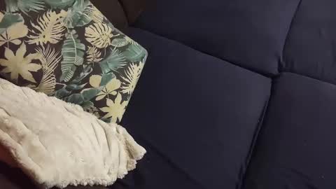 Marek online show from 12/23/24, 04:06