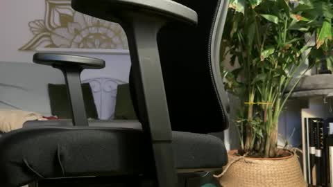 intressiert online show from 02/19/26, 05:31