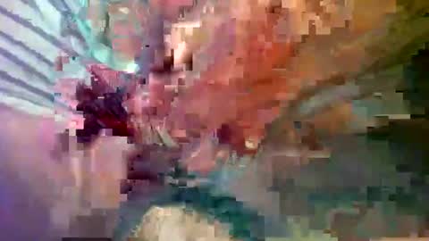 ipuck55 online show from 12/14/24, 08:18