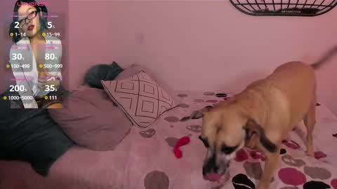 Isa online show from 01/04/25, 06:09