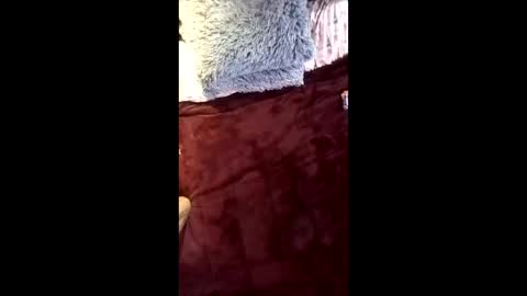 Ral online show from 04/16/26, 09:32