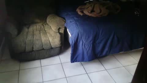 BearlyLoganFL online show from 09/11/25, 12:16