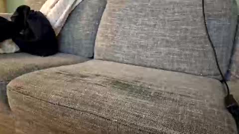 itsjeroen online show from 11/02/25, 01:52