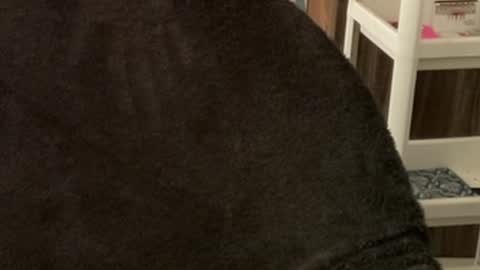 Raje online show from 10/22/25, 03:40