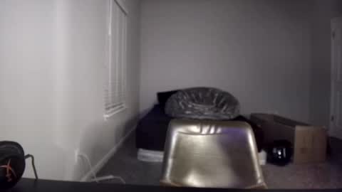 TARZAN online show from 12/10/24, 06:33