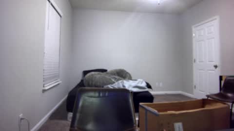 TARZAN online show from 12/13/24, 07:04