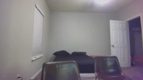 TARZAN online show from 12/24/24, 10:28