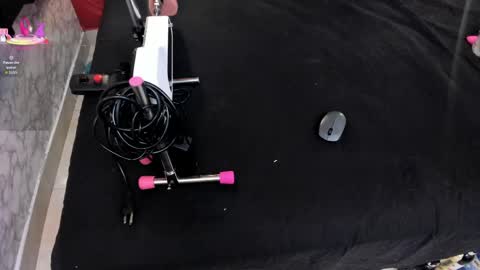 Ivis  online show from 04/13/26, 01:16