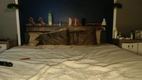 Snapshot of ivydreams chatting on 12/24/24, 03:27 Ivy Dreams online show from 12/24/24, 03:27