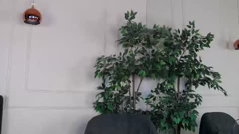 IvyLustt online show from 06/24/26, 04:44