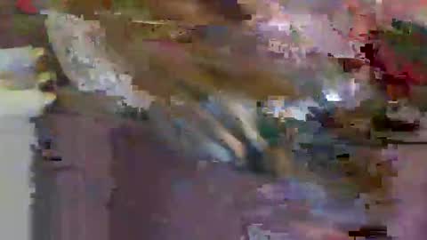 iwantthenutt online show from 03/25/26, 02:50